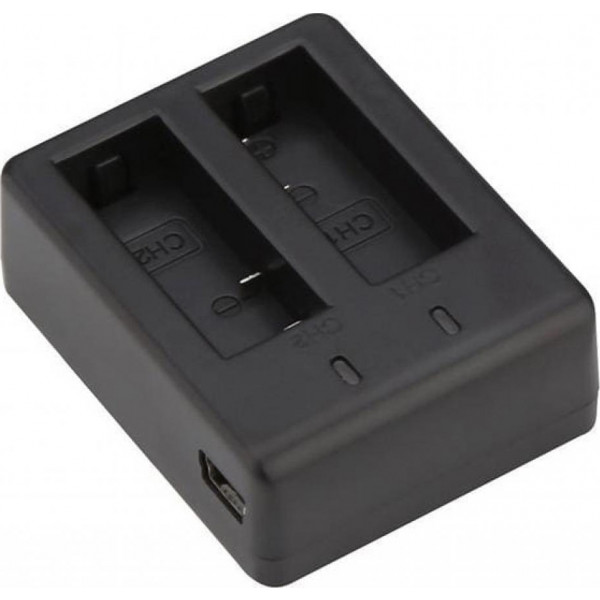 Фото - З/устройство для экшн-камеры AIRON Dual Charger for Procam 7/8 (69477915500037)