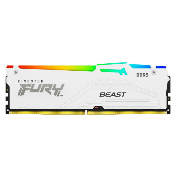 Фото - Память DDR Kingston Fury 16 GB DDR5 5600 MHz Beast RGB EXPO (KF556C36BWEA-16)