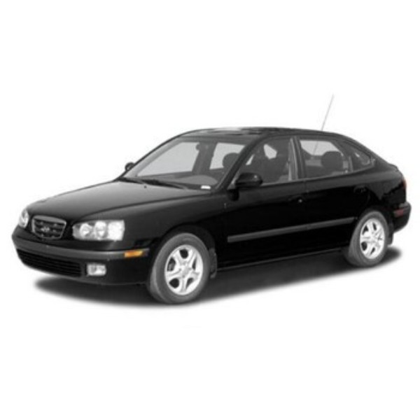 Фото - EVA коврики в салон авто передние EVAtech для Elantra (XD) Hyundai 2000-2006 3 поколение Liftback EU HY43898AV2RBB