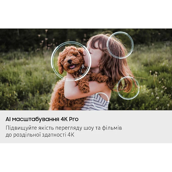 Фото - Телевизор Samsung QE42S90FAEXUA