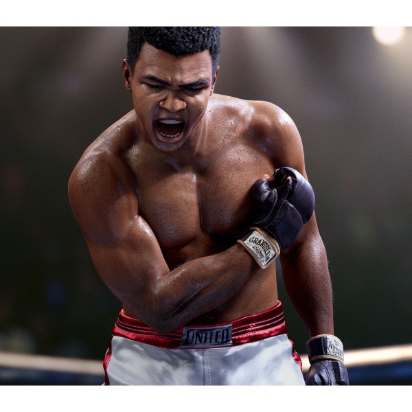 Фото - Ігровий диск PS5 EA Sports UFC 5