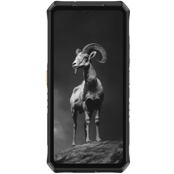 Фото - Смартфон Ulefone Armor 28 Pro 16/512Gb NFC Black