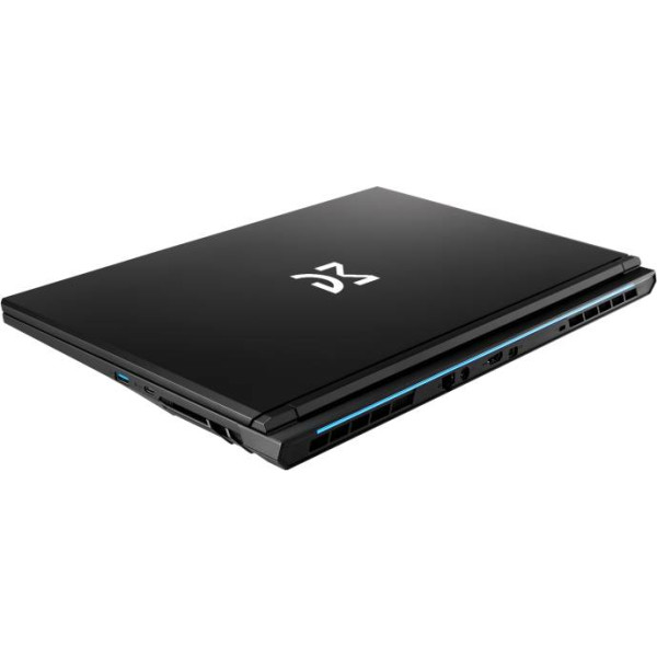 Фото - Ноутбук игровой Dream Machines RT5060-17 (RT5060-17UA25) Black