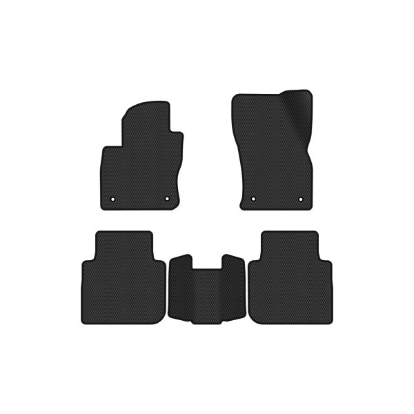 Фото - Килимки з екошкіри в салон авто EVAtech ECO для Tiguan Allspace 5 seats Volkswagen 2016-2020 1 покоління SUV USA (VW13965CP5AV4BBB)