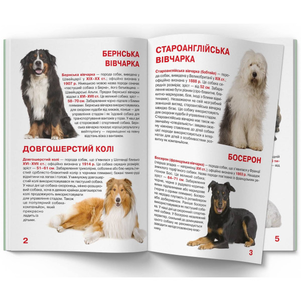 Фото -  Crystal Book Большая книга. Служебные собаки (9789669361158)