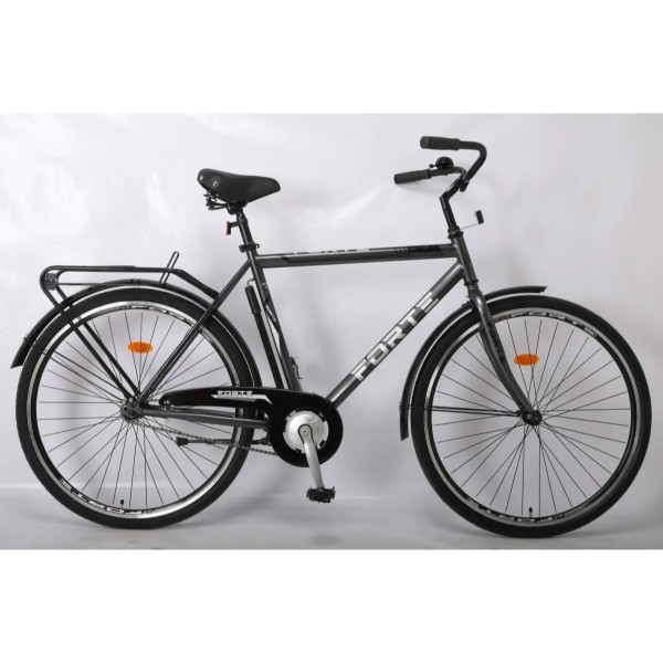 Фото - Двоколісний велосипед Forte FORWARD 22"/28" 
Gray