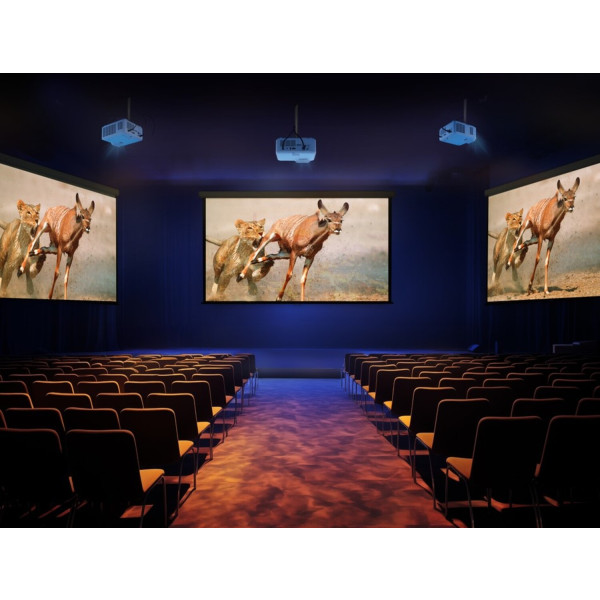 Фото - Проектор Viewsonic LSD600W (VS20996)