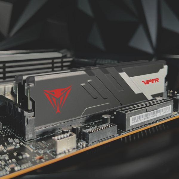 Фото - Память DDR Patriot Viper Venom DDR5 2x16GB (PVV532G640C32K)