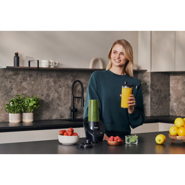 Фото - Блендер стационарный Zeegma Vitamine Base