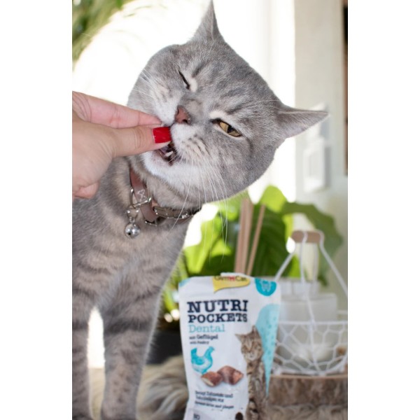 Фото - Лакомство для кошек подушечки GimCat Nutri Pockets Dental для зубов 60 г (4002064419336)
