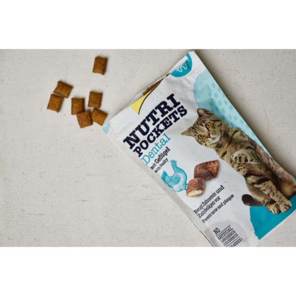 Фото - Лакомство для кошек подушечки GimCat Nutri Pockets Dental для зубов 60 г (4002064419336)