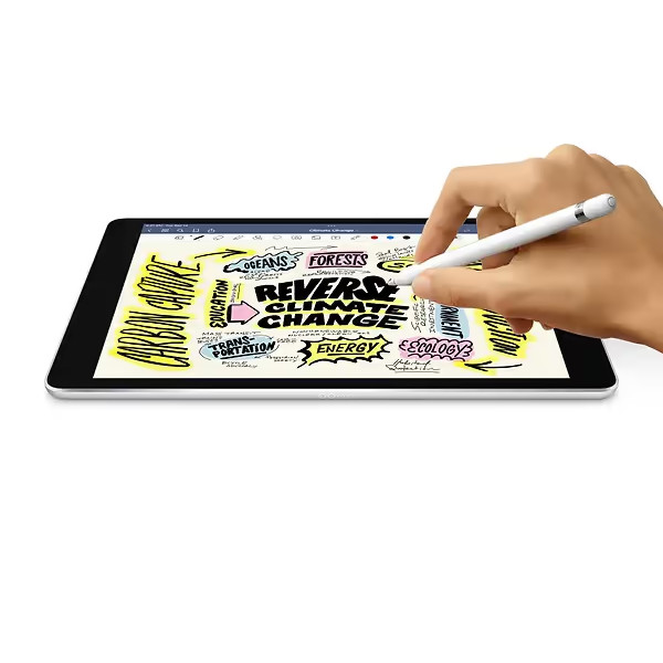 Фото - Планшет Apple iPad 10.2'' (9 Gen) Cellular 256GB (MK4E3) Space Grey