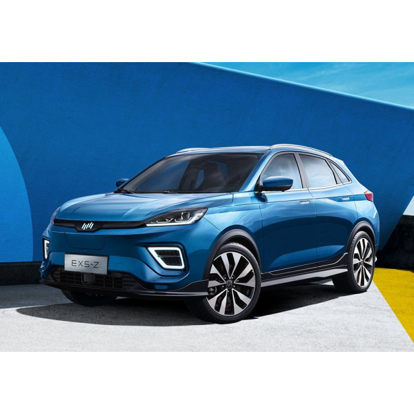 Фото - EVA килимок в багажник авто EVAtech для EX5-Z Weltmeister 2018 1 покоління SUV China (WR41895B1RBB)