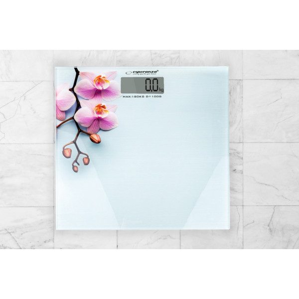 Фото - Ваги Esperanza Scales EBS010
