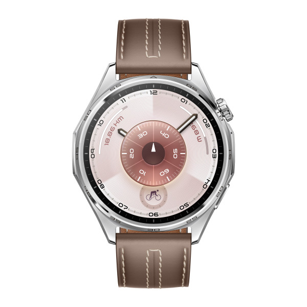 Фото - Смарт-часы Huawei Watch GT 6 46mm Brown Leather