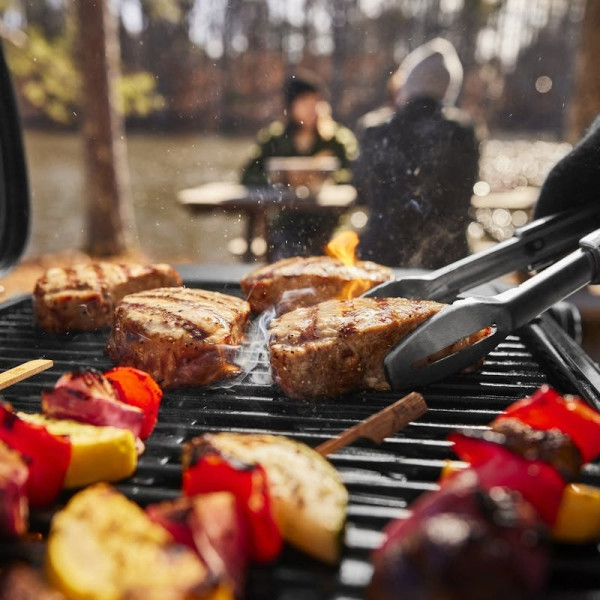 Фото - Гриль газовий Weber Traveler Compact (1501747)