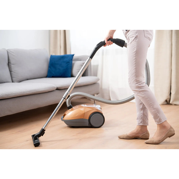 Фото - Пылесос для сухой уборки с мешком Zelmer Slawek ZVC 362