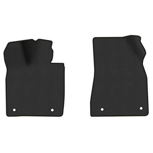 Фото - Килимки з екошкіри в салон авто передні EVAtech для EX5-Z Weltmeister 2018 1 покоління SUV China (WR41895AD2AV4BBB)