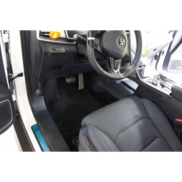 Фото - Килимки з екошкіри в салон авто передні EVAtech для EX5-Z Weltmeister 2018 1 покоління SUV China (WR41895AD2AV4BBB)