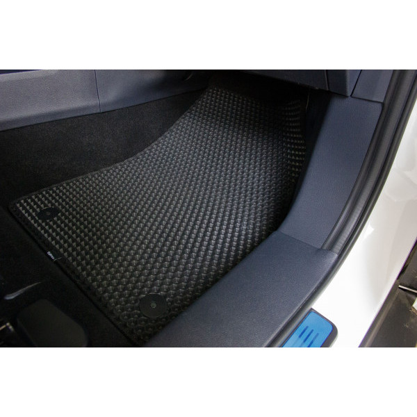 Фото - Килимки з екошкіри в салон авто передні EVAtech для EX5-Z Weltmeister 2018 1 покоління SUV China (WR41895AD2AV4BBB)