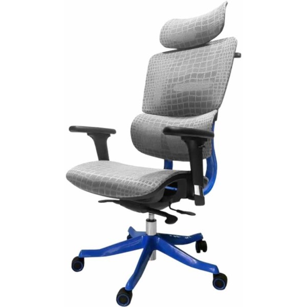 Фото - Крісло для геймерів GT Racer X-626 Gray/Blue