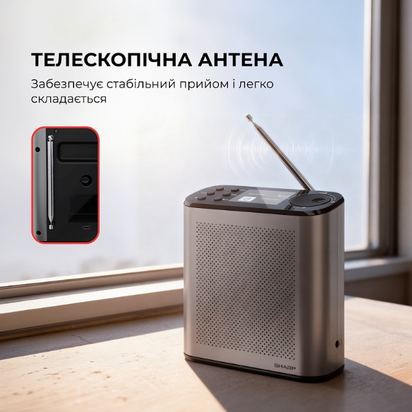 Фото - Радиоприемник Sharp DR-P530 (GY)