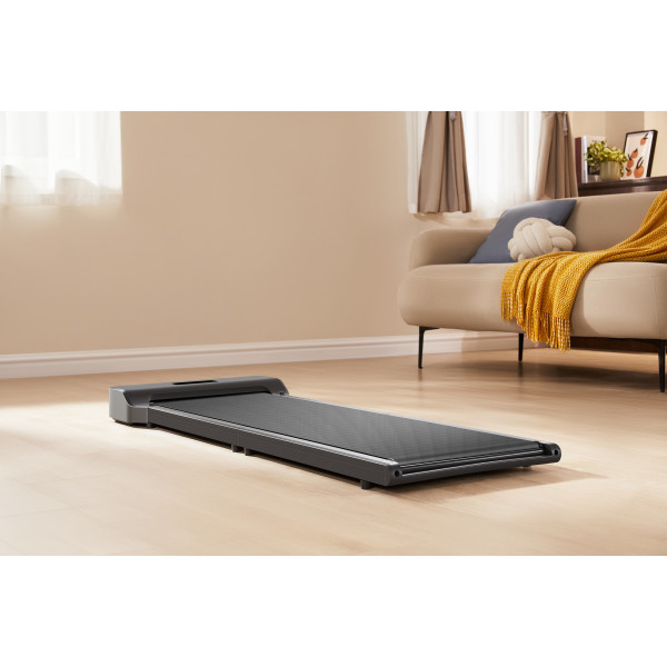 Фото - Бігова доріжка KingSmith WalkingPad Z1F