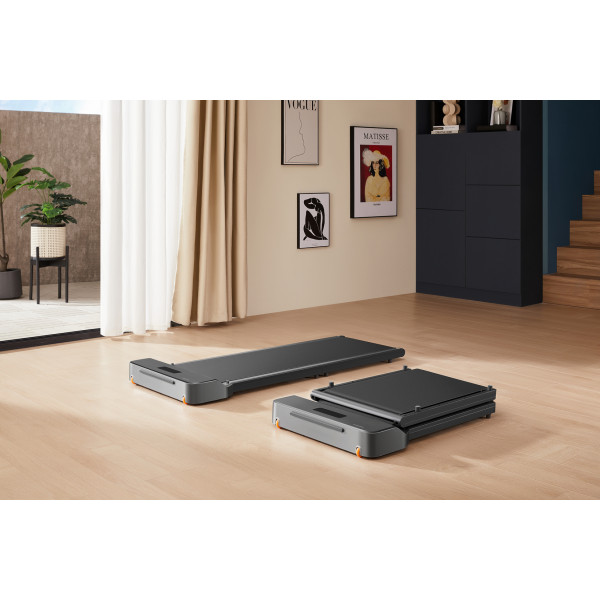 Фото - Бігова доріжка KingSmith WalkingPad Z1F
