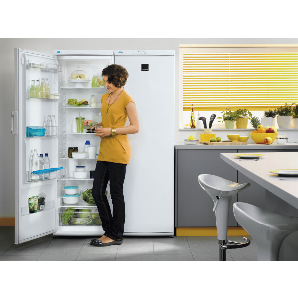 Фото - Морозильная камера Zanussi ZFU25200WA