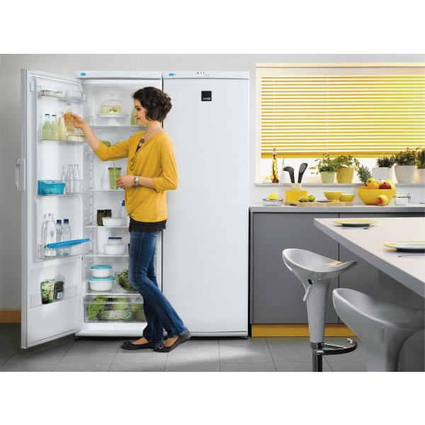 Фото - Морозильная камера Zanussi ZFU25200WA
