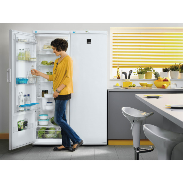 Фото - Морозильная камера Zanussi ZFU25200WA