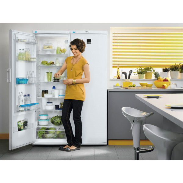 Фото - Морозильная камера Zanussi ZFU25200WA
