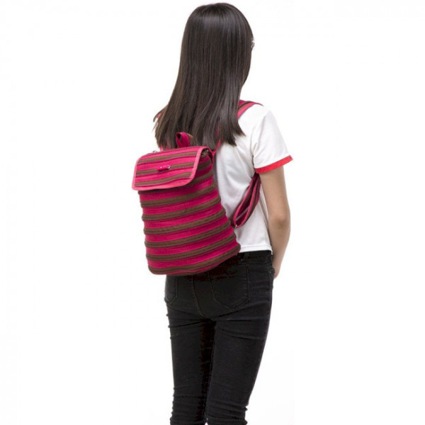 Фото - Рюкзак міський Zipit ZIPPER Fuchsia&Deep Brown (ZBPL-1)