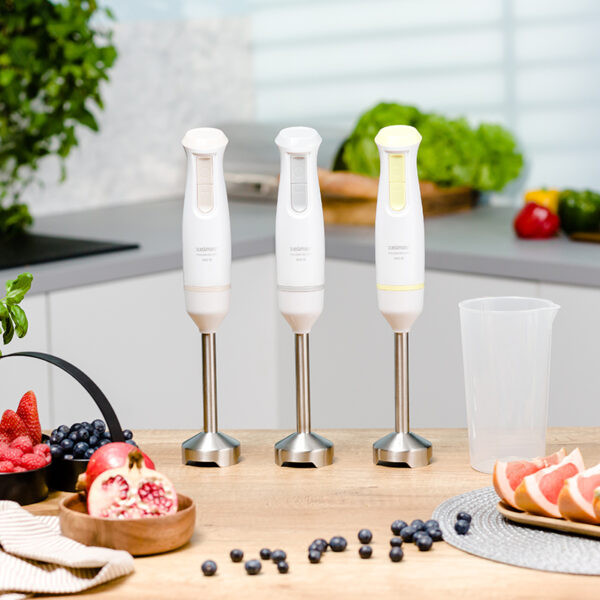 Фото - Блендер погружной Zelmer ZHB4561S