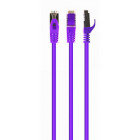 Фіолетовий