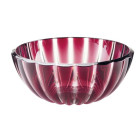 Фіолетовий