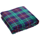 Різнокольоровий