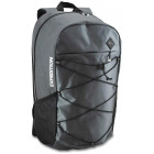 Сірий з чорним