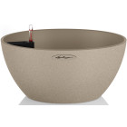 Світло-бежевий