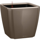 Сіро-коричневий