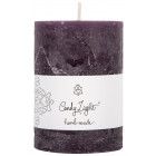 Темно-фіолетовий