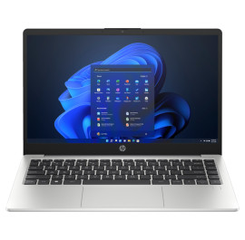 Ноутбук HP 245-G10 (A23L1EA) Turbo Silver