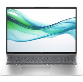 Ноутбук HP ProBook 465 G11 (AD1X1ET) Silver
