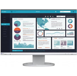 Монітор Eizo EV2490-WT