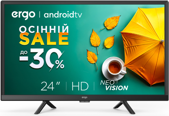 Телевизор Ergo 24GHS5500 - Фото 1