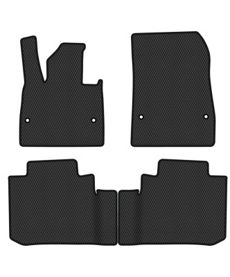 EVA килимки в салон авто EVAtech для SF5 Seres 2019 1 покоління SUV EU ES44078PC4FC4RBB - Фото 1