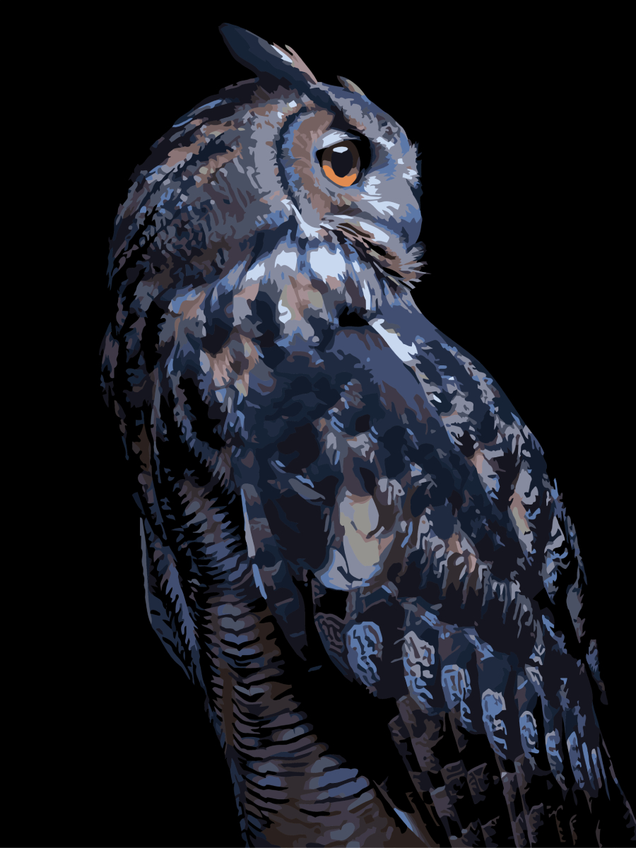 Картина за номерами Strateg Нічна сова на чорному фоні 30х40 (FH-24) - Фото 1