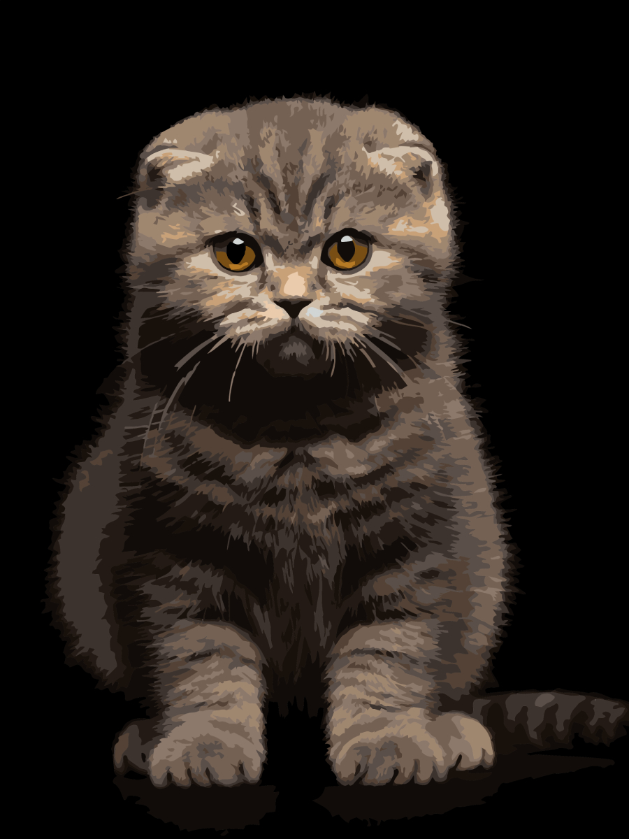 Картина за номерами Strateg Сіре кошеня на чорному фоні 30х40 (FH-25) - Фото 1