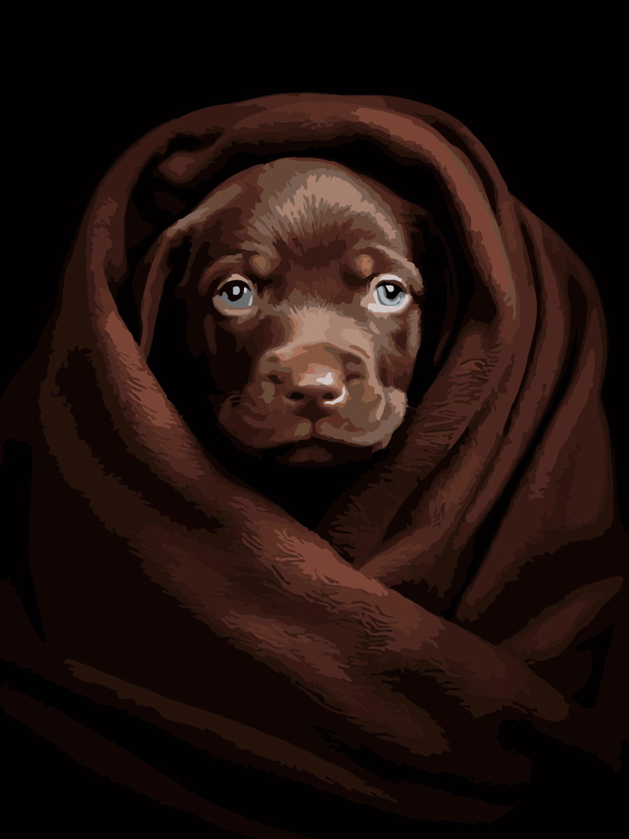 Картина за номерами Strateg Песик у пледі на чорному фоні 30х40 (FH-26) - Фото 1