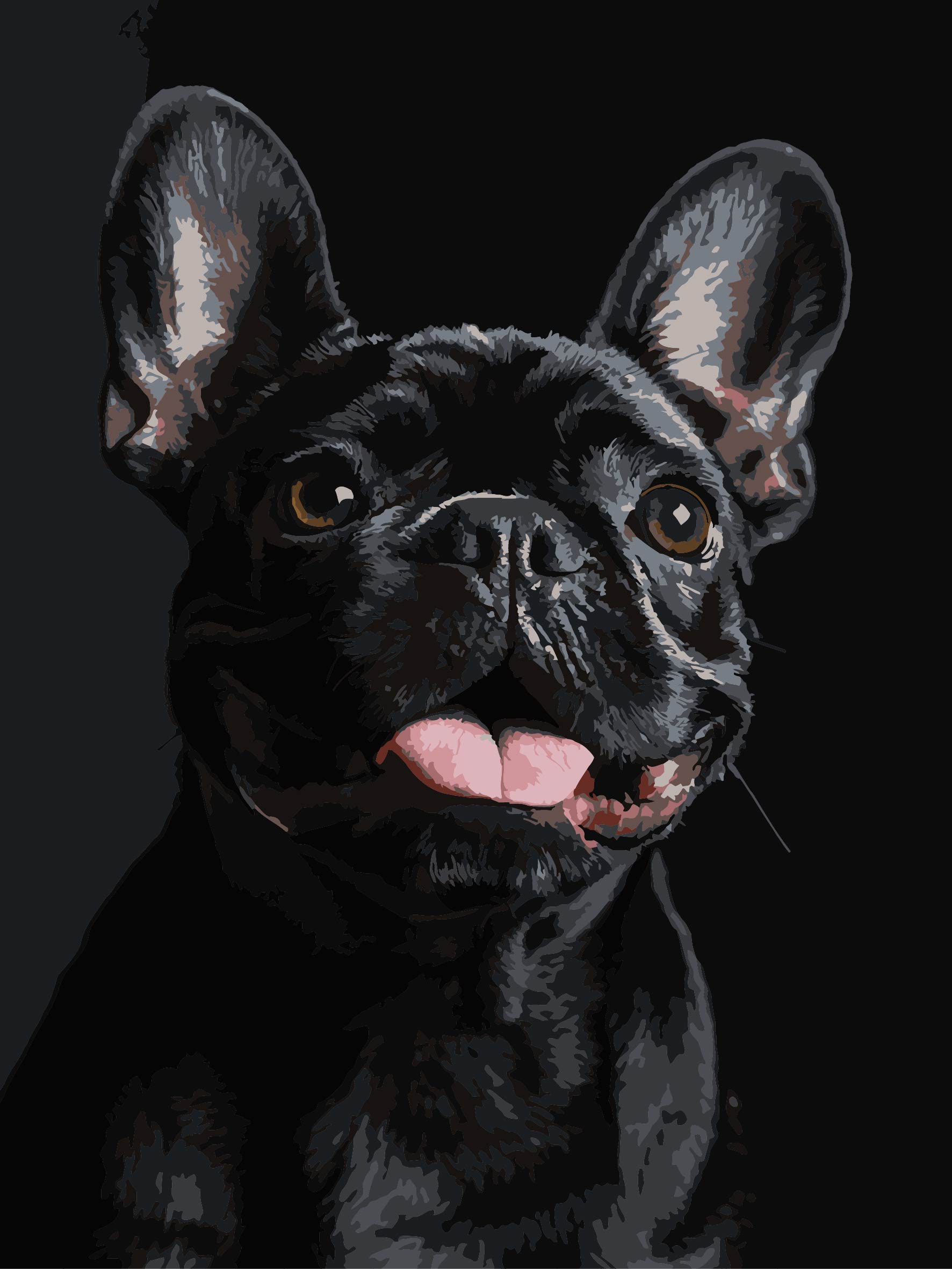 Картина за номерами Strateg Французький чорний бульдог на чорному фоні 30х40 (FH-32) - Фото 1